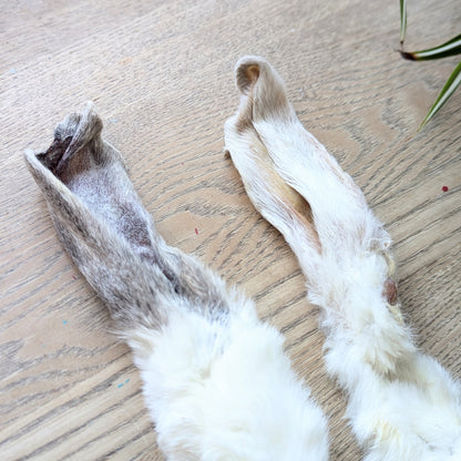 two rabbit ears on a wood table, photo from above but slightly angled. The ear to the right is white and the ear to the left is grey. The fluffy part of the ears are hidden in the photo, but you can see the ear portion