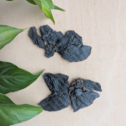 Two dried pieces of rabbit liver, they look like butterfly wings. A green plant is on the left reaching towards the chews