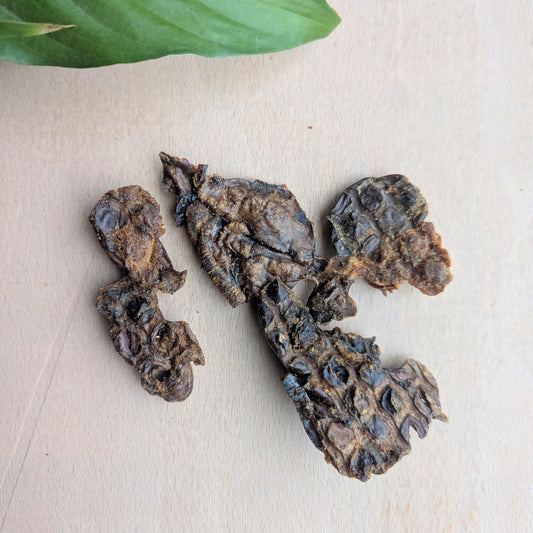 two pieces of dried rabbit lung on a wood surface