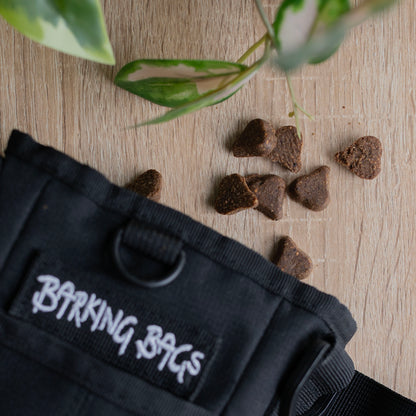 Treat Bag