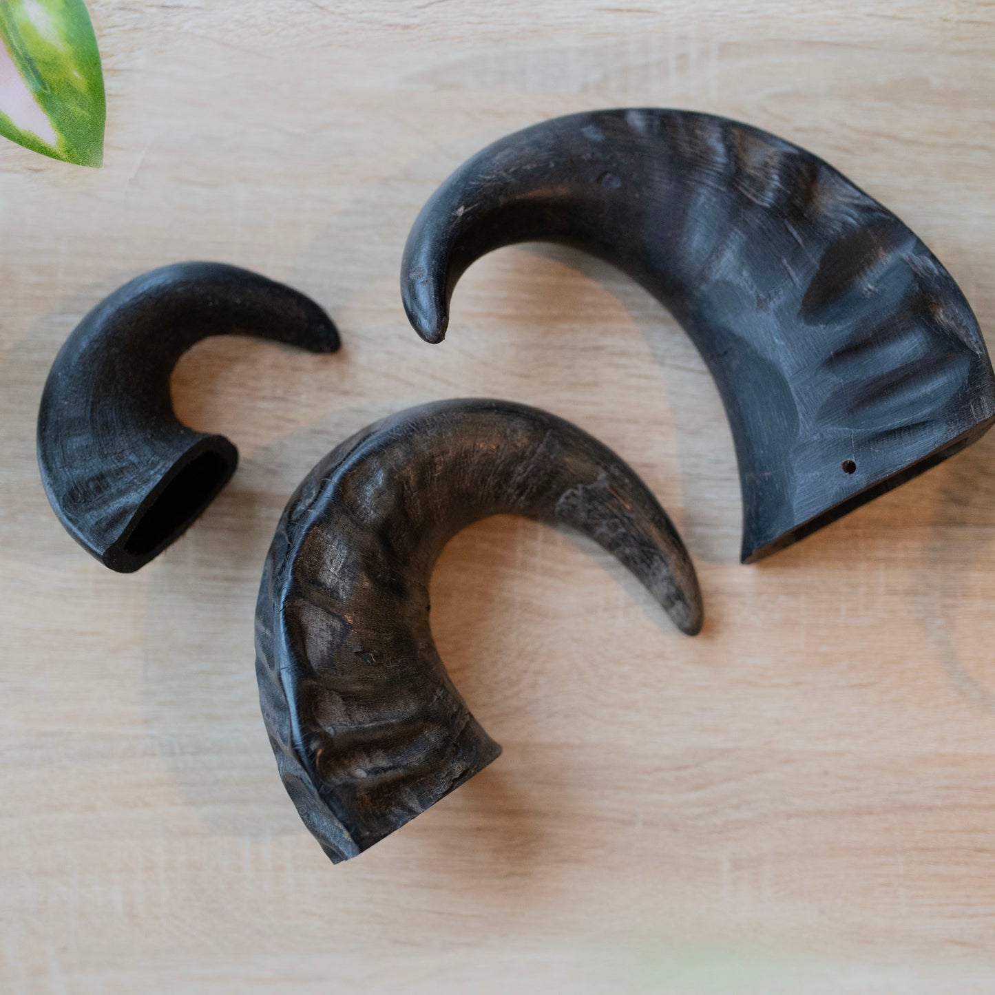 three sizes of horns next to each other. Small, medium and large