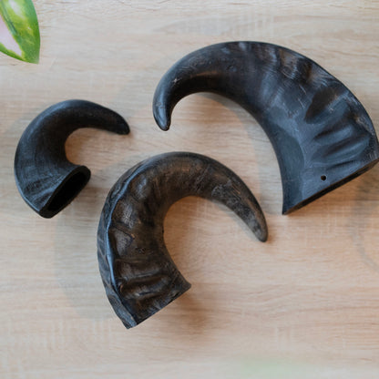 three sizes of horns next to each other. Small, medium and large