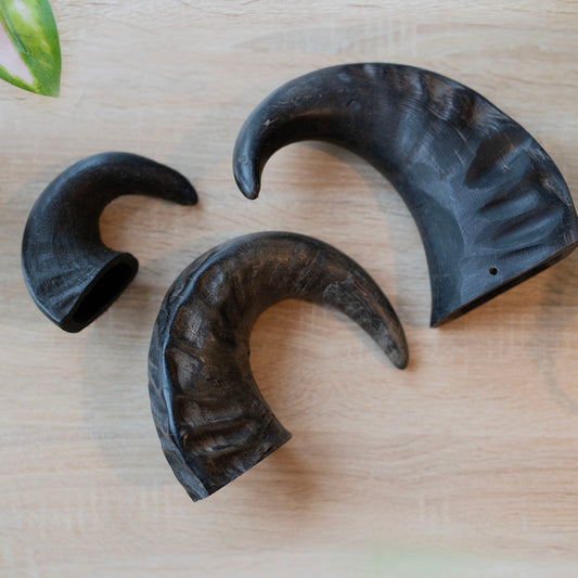 three sizes of horns next to each other. Small, medium and large