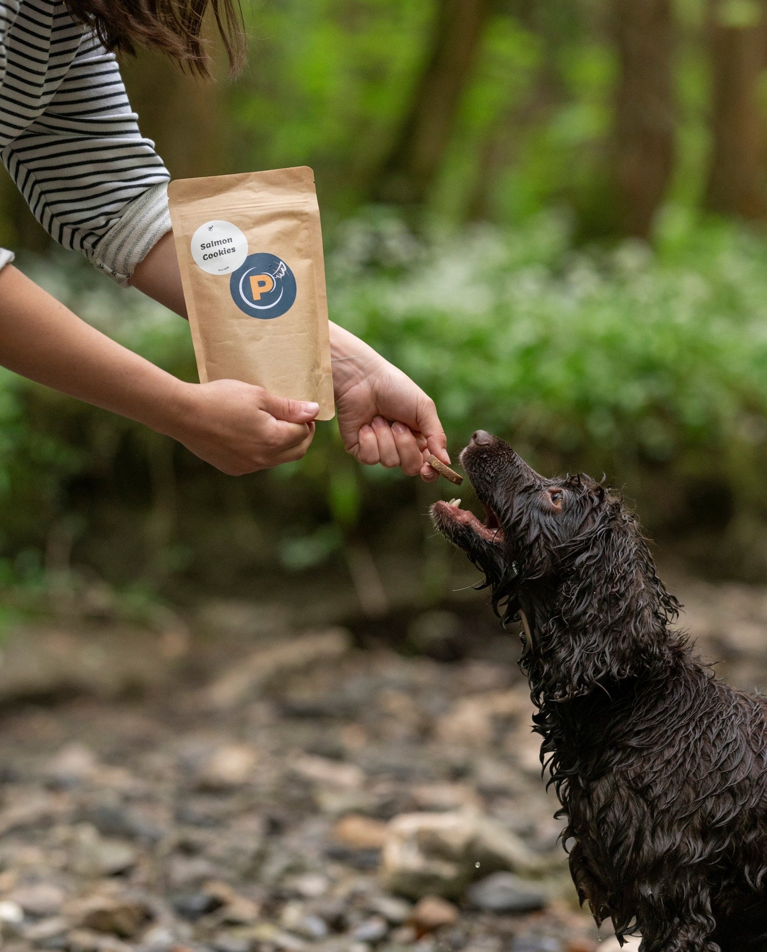 Rebecca is holding a bag of Salmon Cookie treats next to a wet chocolate cocker spaniel, outdoors. You can't see her face, just arms and hands. She is handing the spaniel one cookie