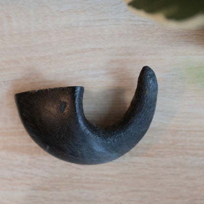small black horn, from above