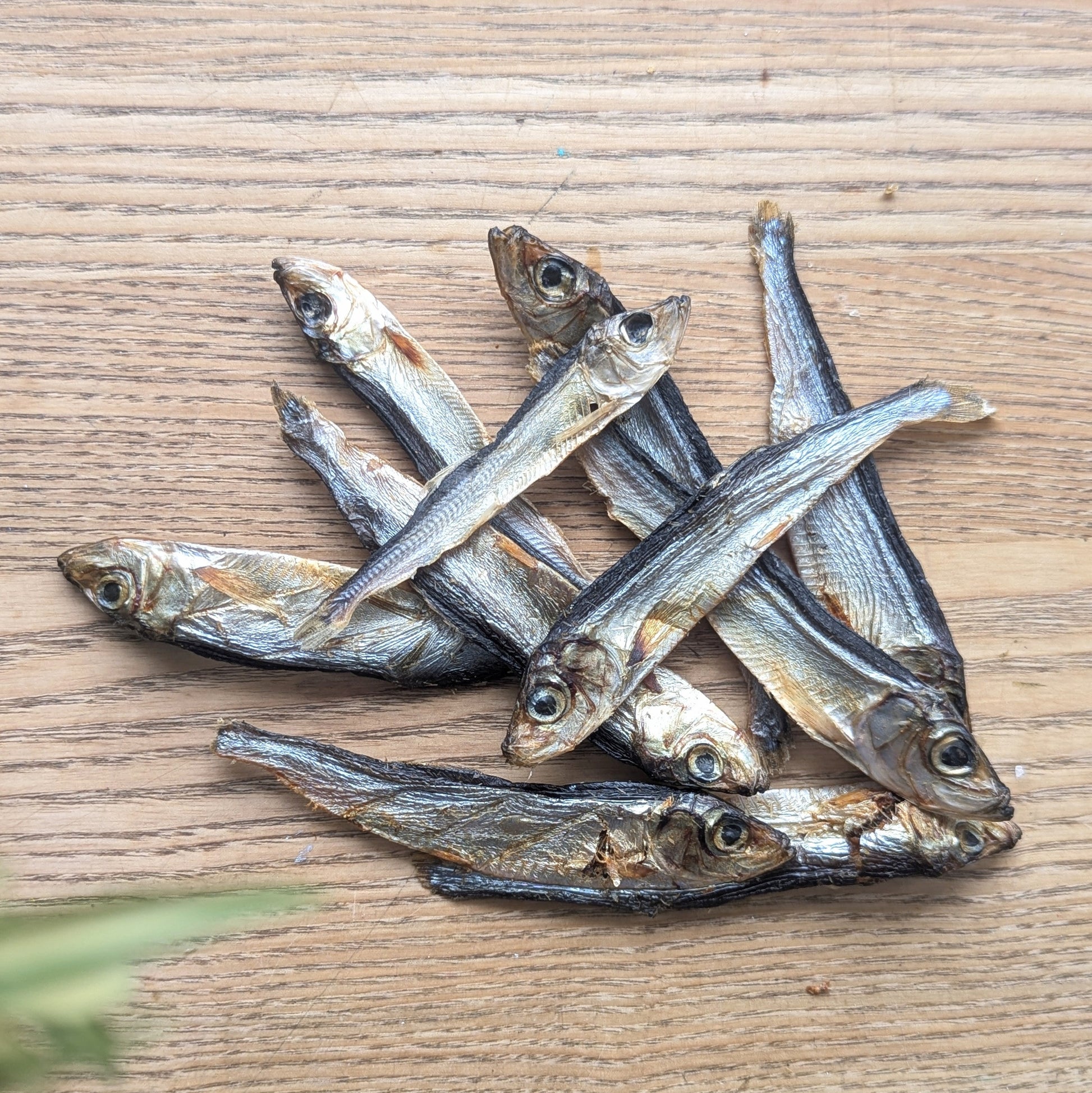 a pile of sprats piled on top of each other. There is a blurred leaf poking out of the bottom left corner
