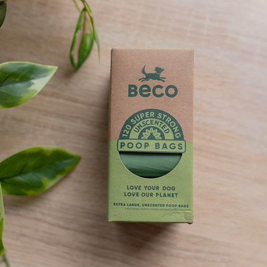 A beco unscented poo bag box, it's half brown and half green (bottom half of the box). It's horizontal, there's some plant leaves on the left