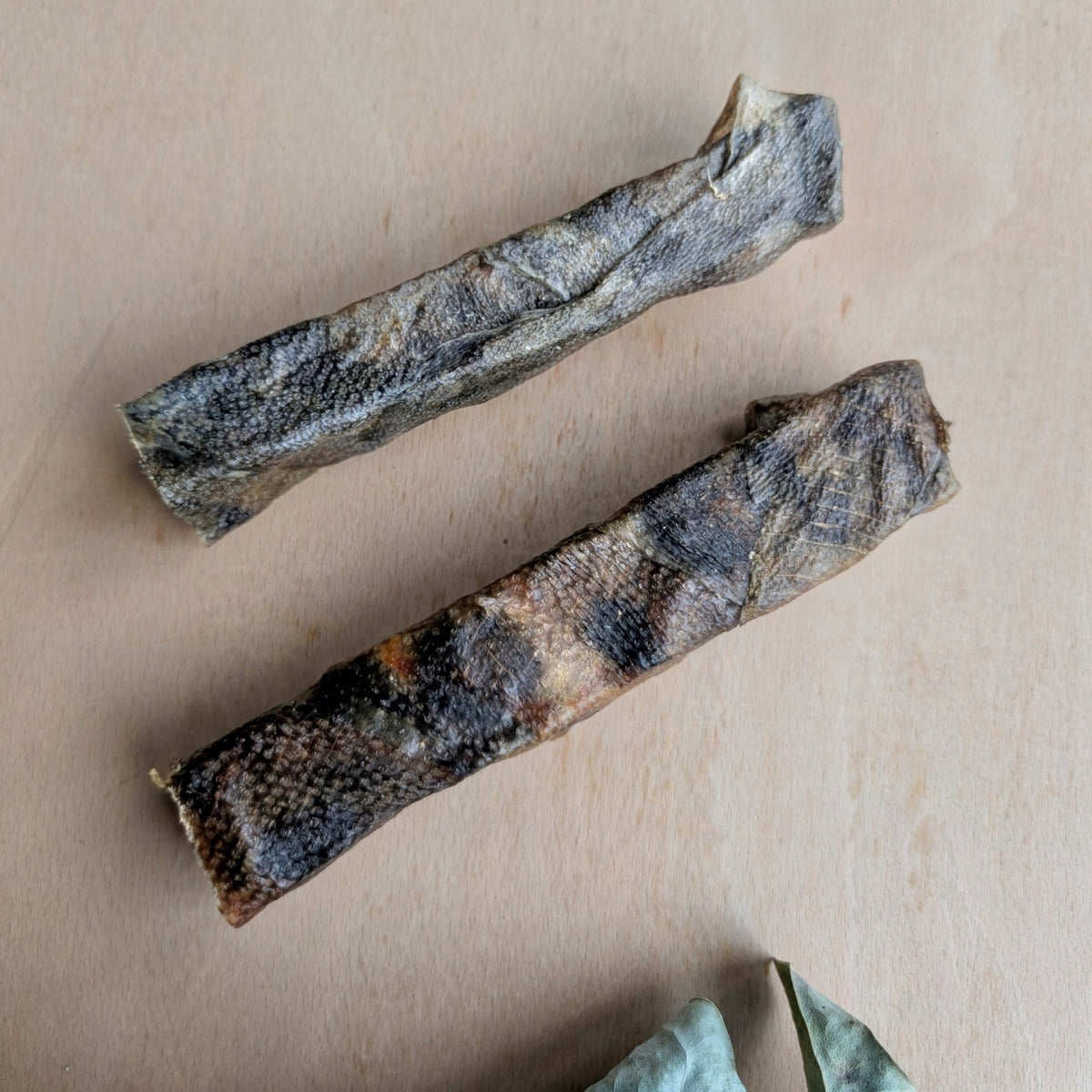 Two dried wolf fish skin sticks with  dark brown, and beige tones, arranged diagonally on a light beige wooden surface.